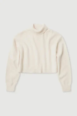 Paris Wool Cashmere Knit Turtleneck