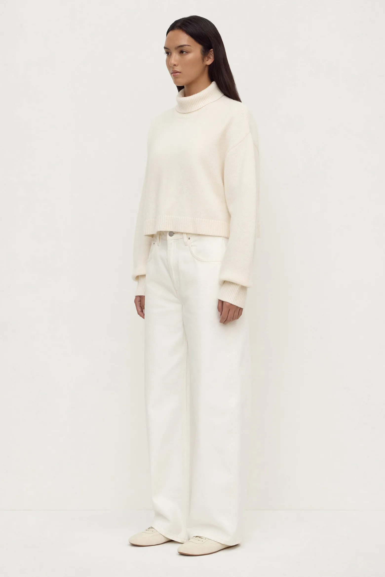 Paris Wool Cashmere Knit Turtleneck