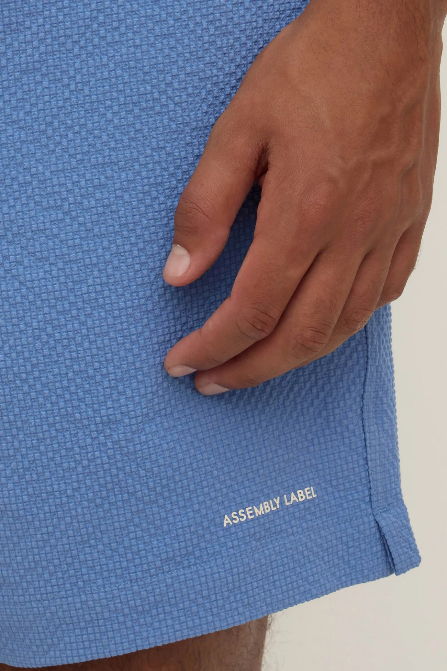 Seth Swim Short