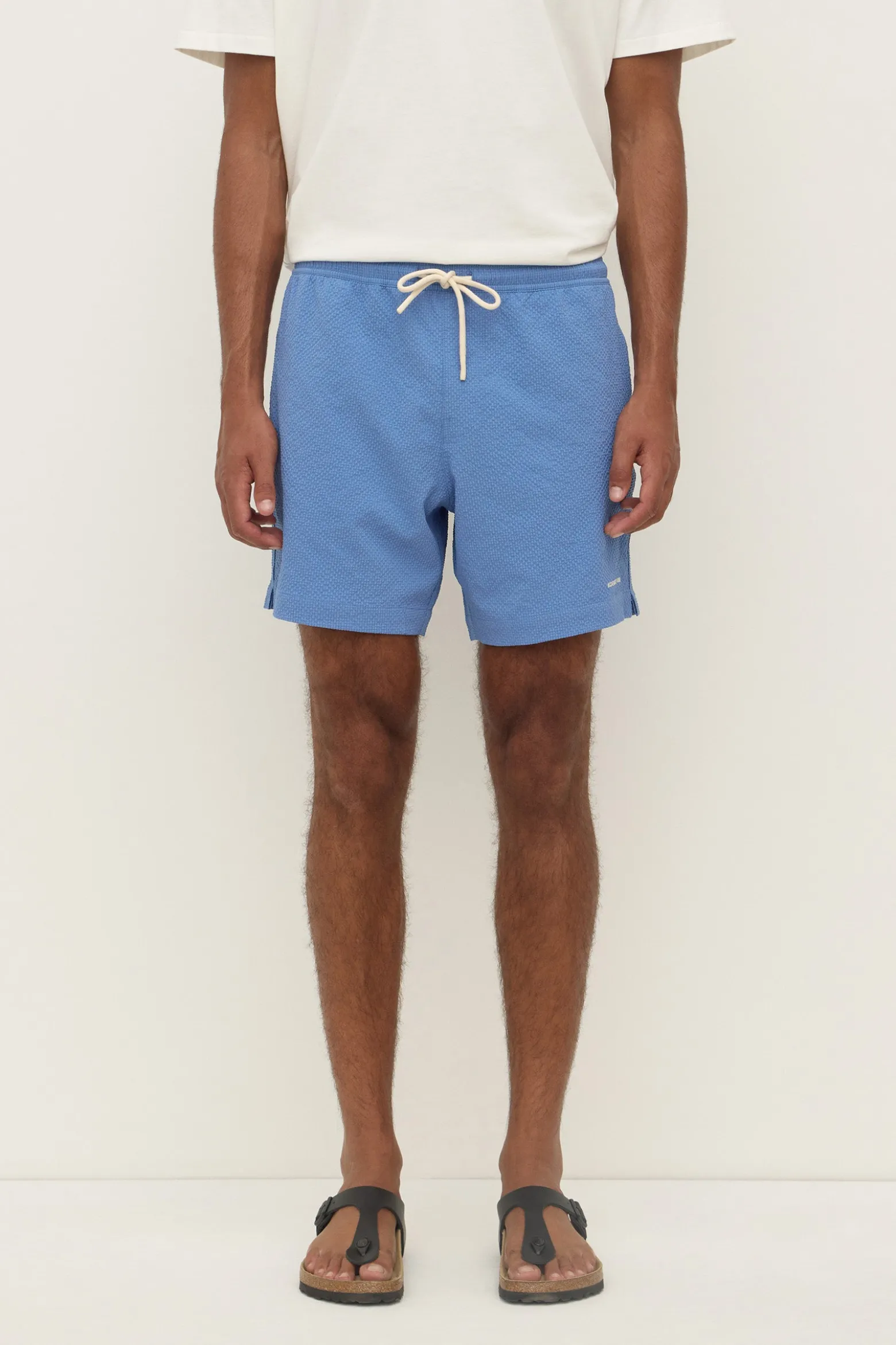 Seth Swim Short