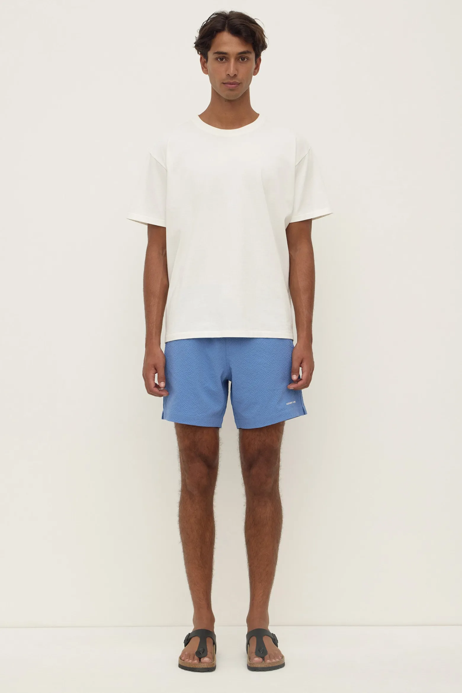 Seth Swim Short